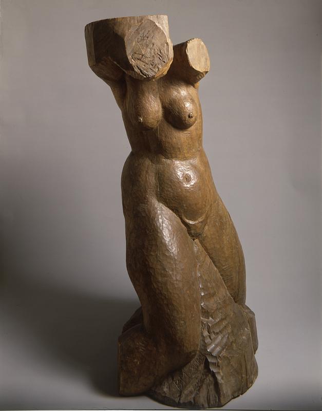 Женский торс